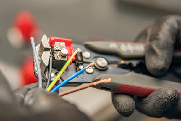 Best Electrical System Inspection  in Vamo, FL