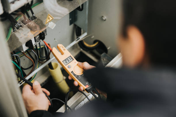 Best Generator Installation Services  in Vamo, FL