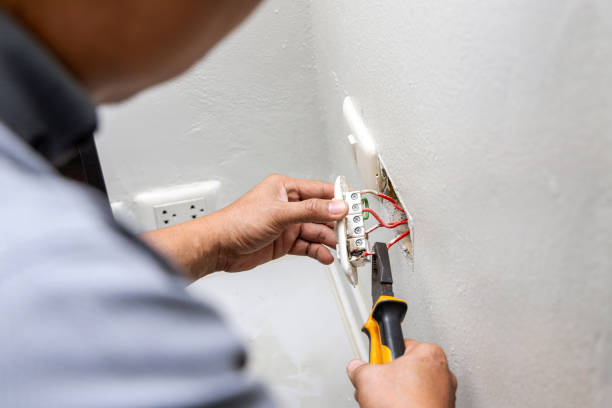 Best Residential Electrician Services  in Vamo, FL