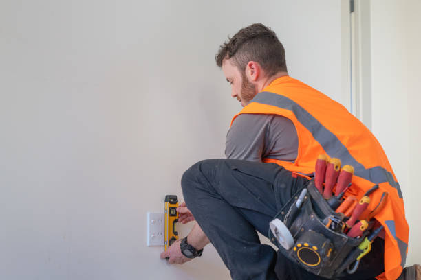 Best Electrical System Inspection  in Vamo, FL